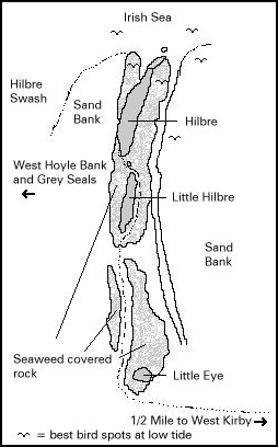 Hilbre Map