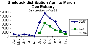 Shelduck Distribution